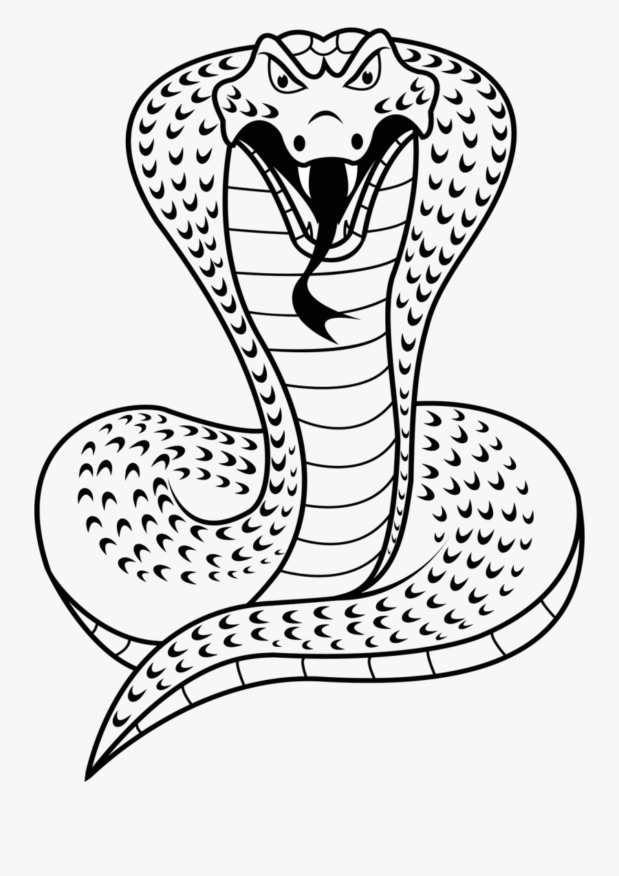 Clip Art Desenho Para Colorir - Cobra Snake Clipart Black And White, Transparent Clipart