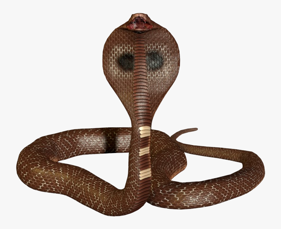 King Cobra Clipart, Transparent Clipart
