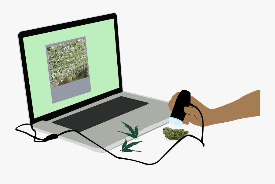 Netbook, Transparent Clipart