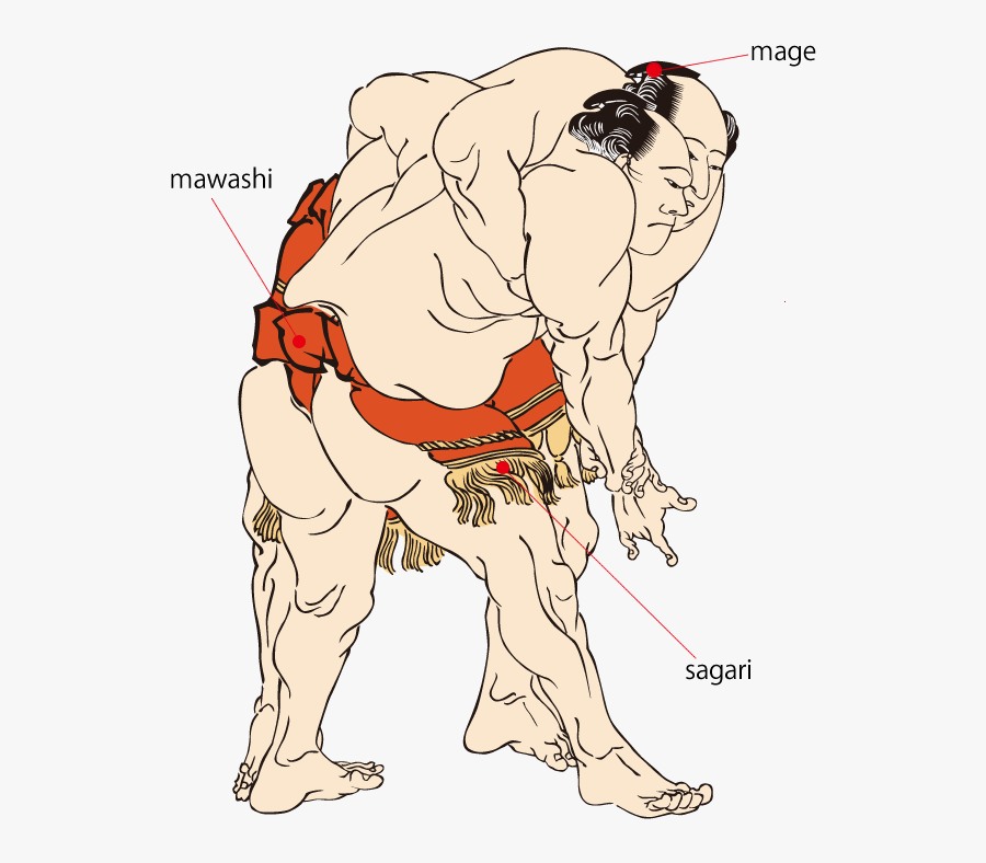 Rikishi - Cartoon, Transparent Clipart