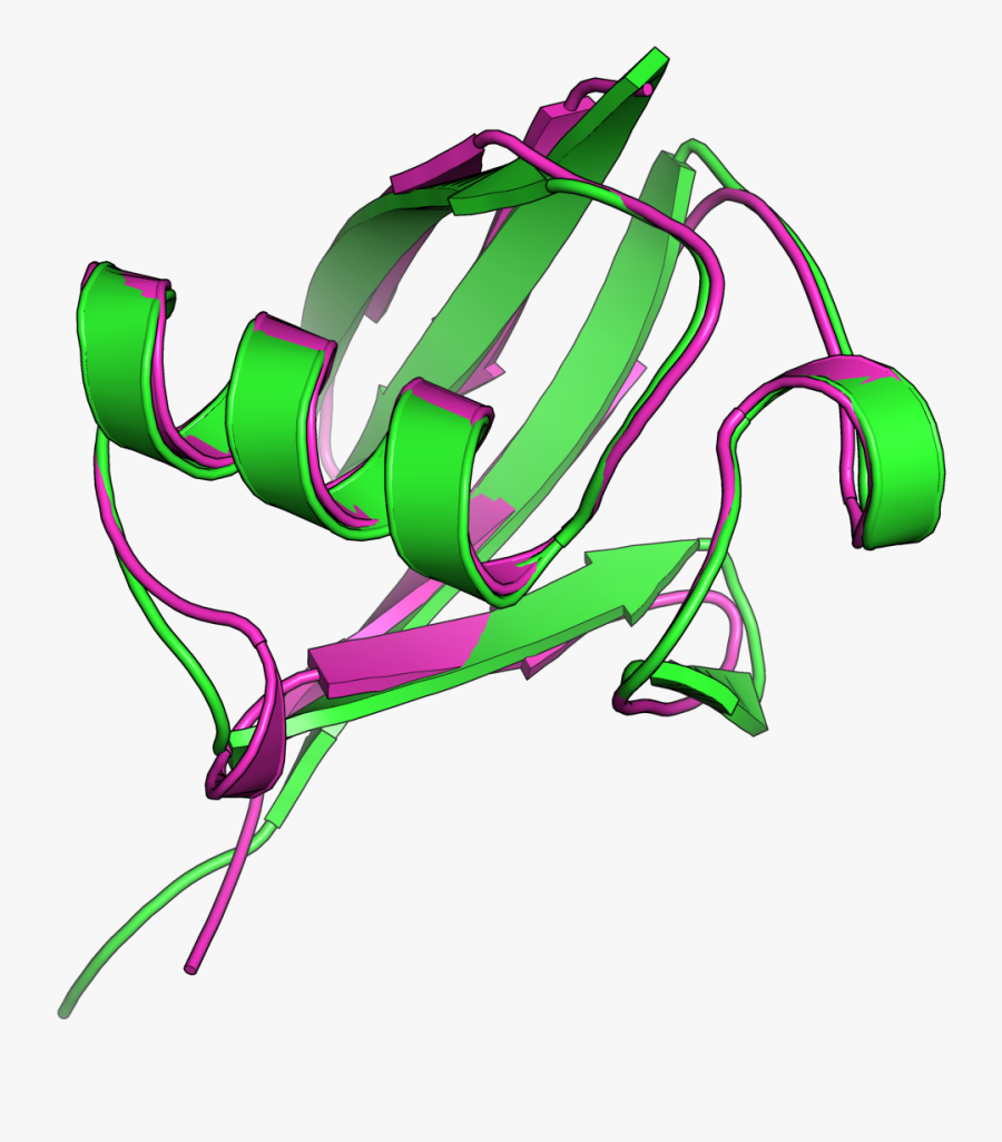 1ubq 1ndd Superposition - Illustration, Transparent Clipart