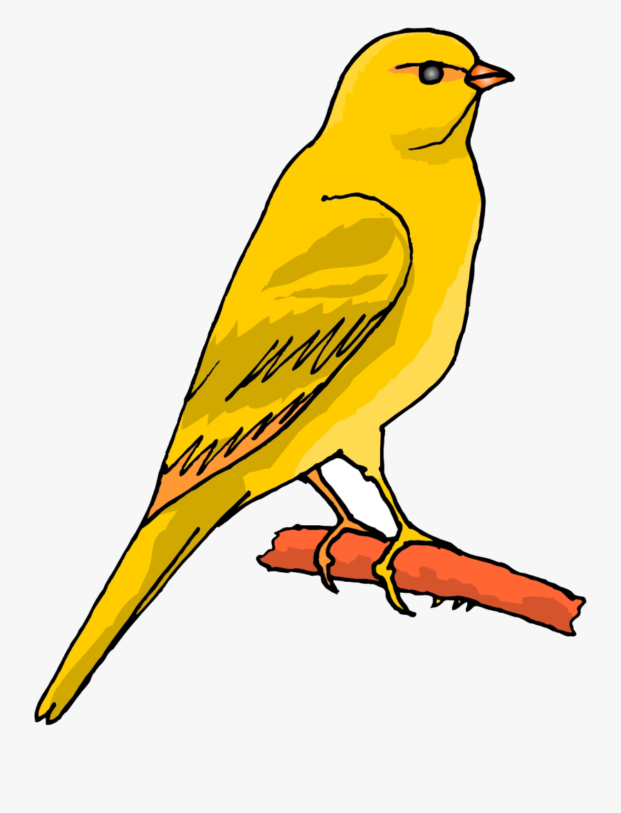 Bird Canary Clipart Etc Best Transparent Png - Canary Bird Clip Art, Transparent Clipart