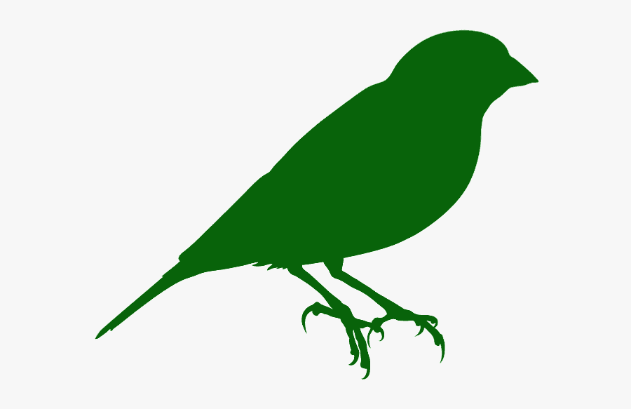 Canary Stencil, Transparent Clipart
