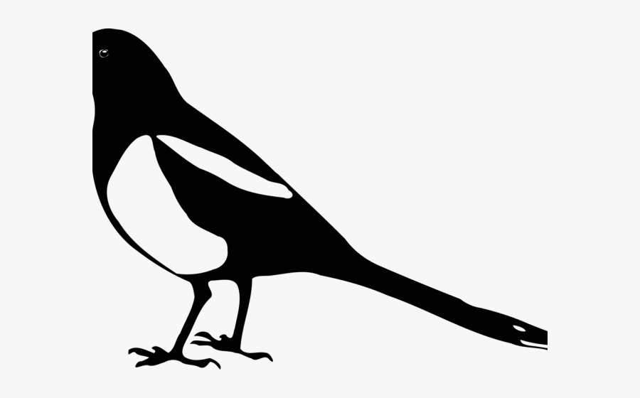Magpie Clipart Transparent Background, Transparent Clipart