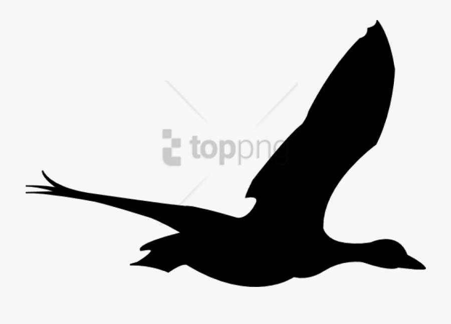 Free Png Flying Birds Animation Png Image With Transparent - Bird Flying Animation Png, Transparent Clipart