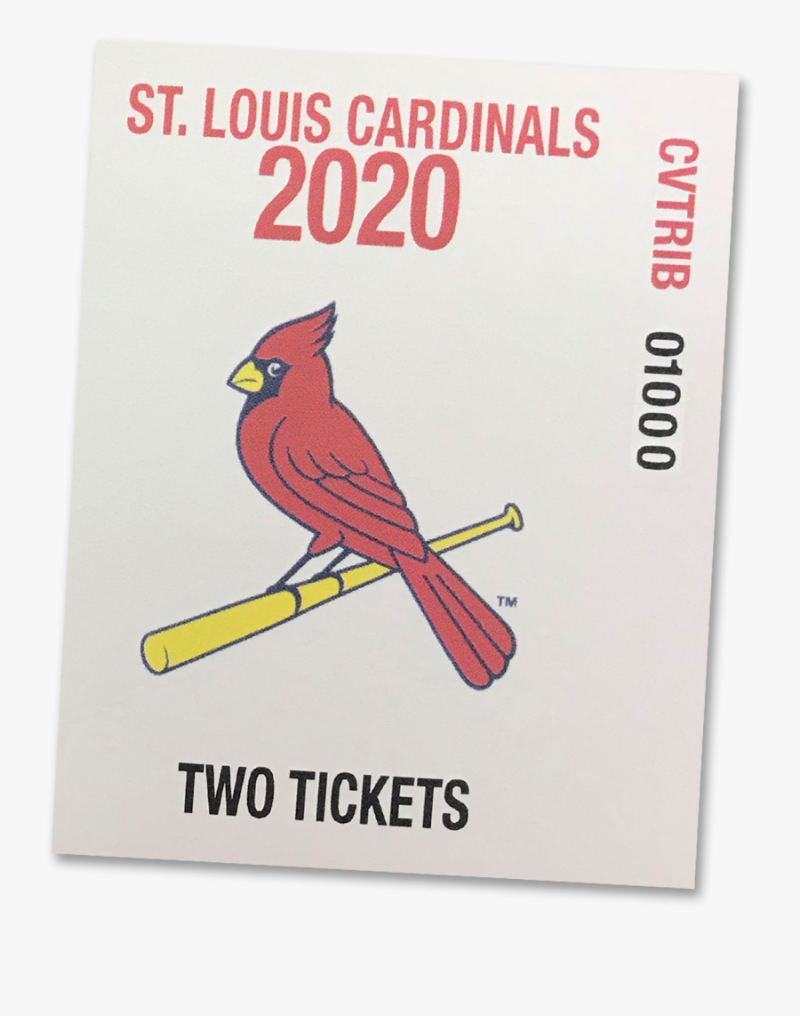 Transparent Cardinal Clipart - St Louis Cardinals, Transparent Clipart