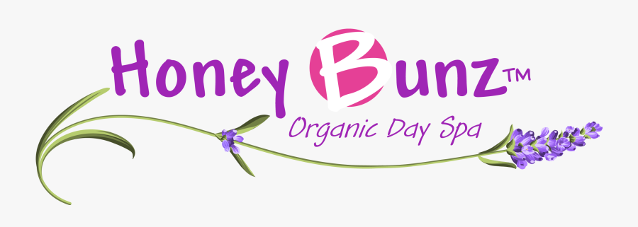 Transparent Spa Border Clipart - Honey Bunz Lockport Ny, Transparent Clipart
