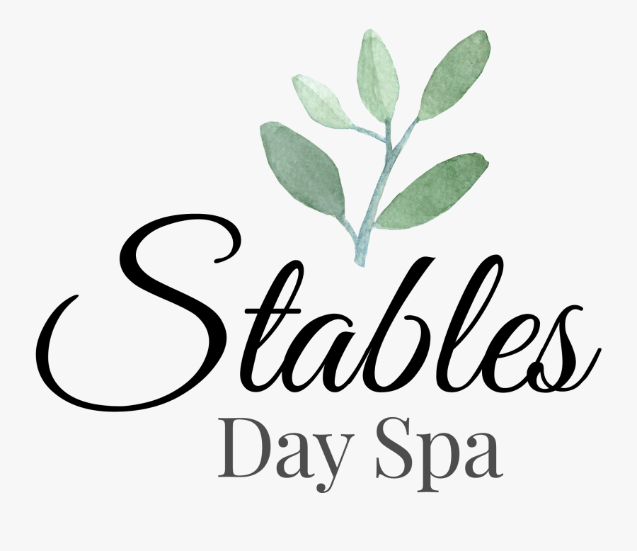 Transparent Spa Stones Png - Sisters Of Charity Of Nazareth, Transparent Clipart