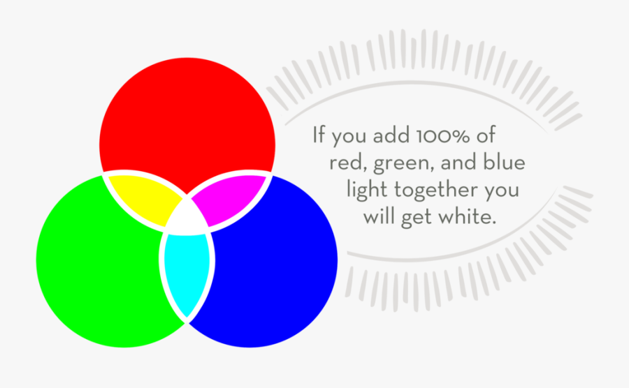 Color Understanding Basics Lute - Jiwaji University, Transparent Clipart