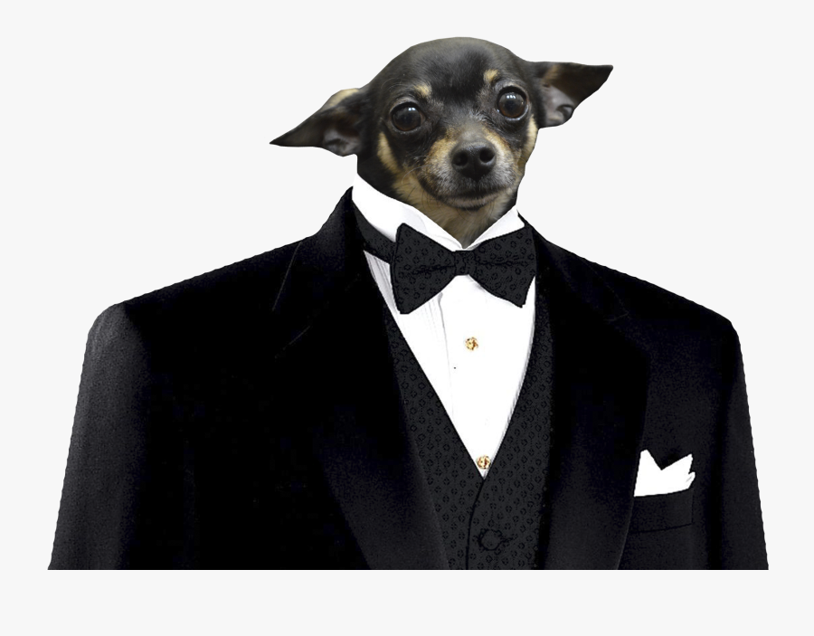 Elephant In A Suit, Transparent Clipart