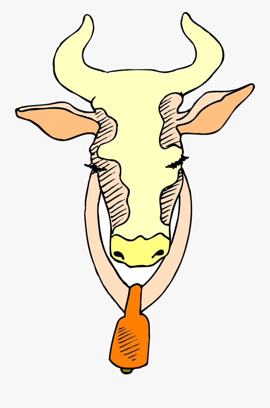 Portable Network Graphics, Transparent Clipart