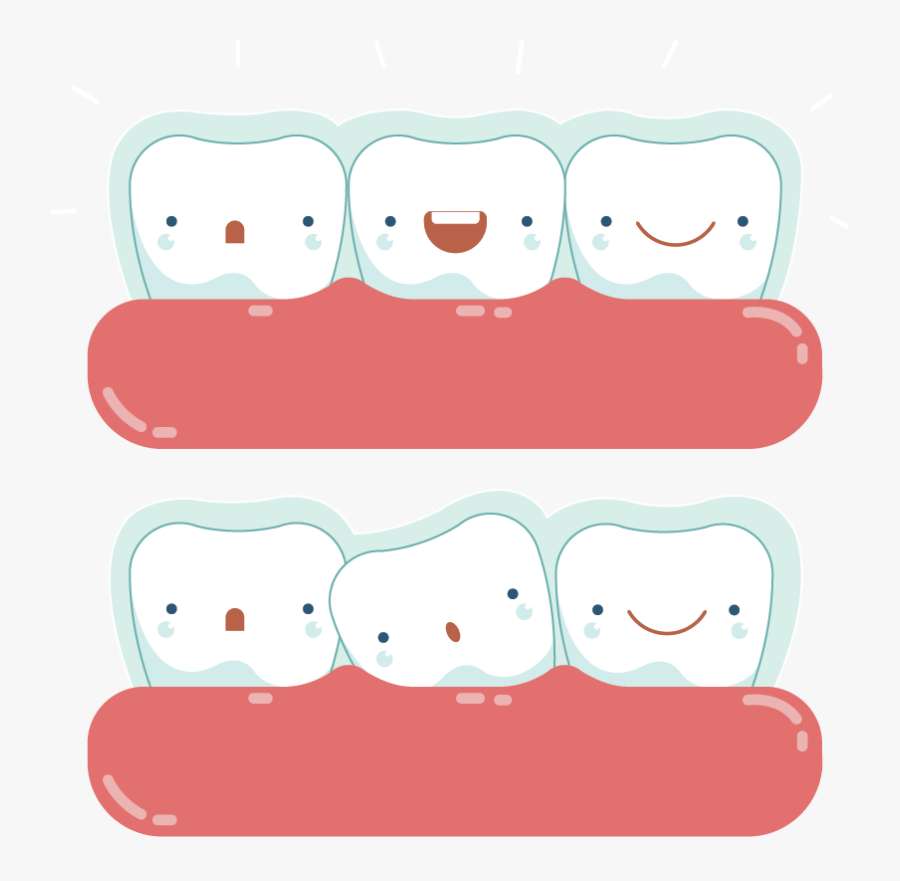 Asset 4@800x, Transparent Clipart