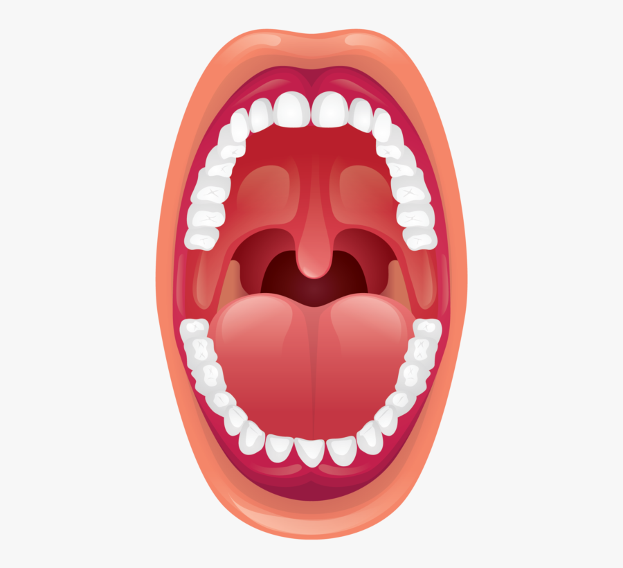 Part Of Mouth For Kids, Transparent Clipart