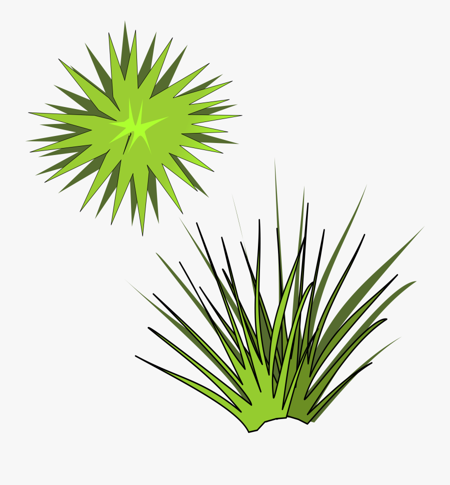 Plant-05 Clip Arts - Spiky Plant Clipart, Transparent Clipart