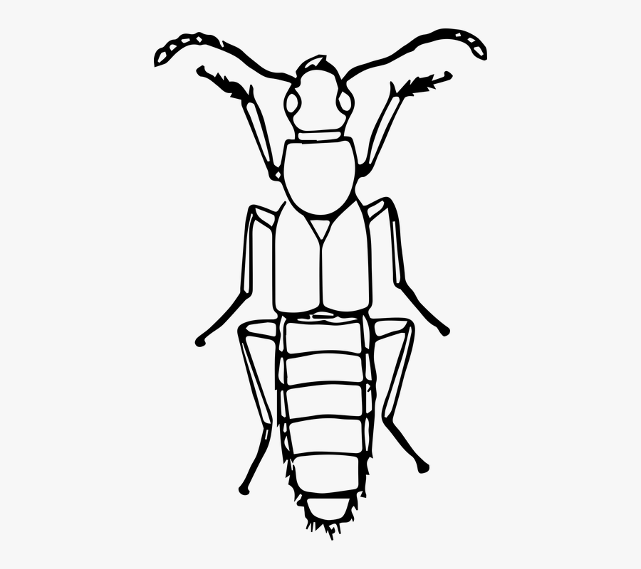 Different Clipart Insects Black And White, Transparent Clipart