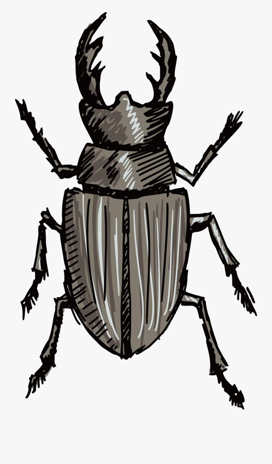 Volkswagen Beetle Stag Beetle Silhouette - Stag Beetle Line Drawing, Transparent Clipart