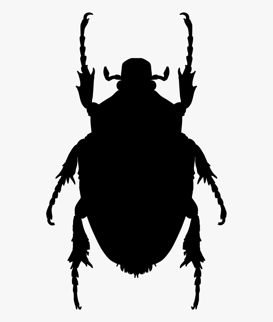 Transparent Beetle Clipart - Bug Shape, Transparent Clipart