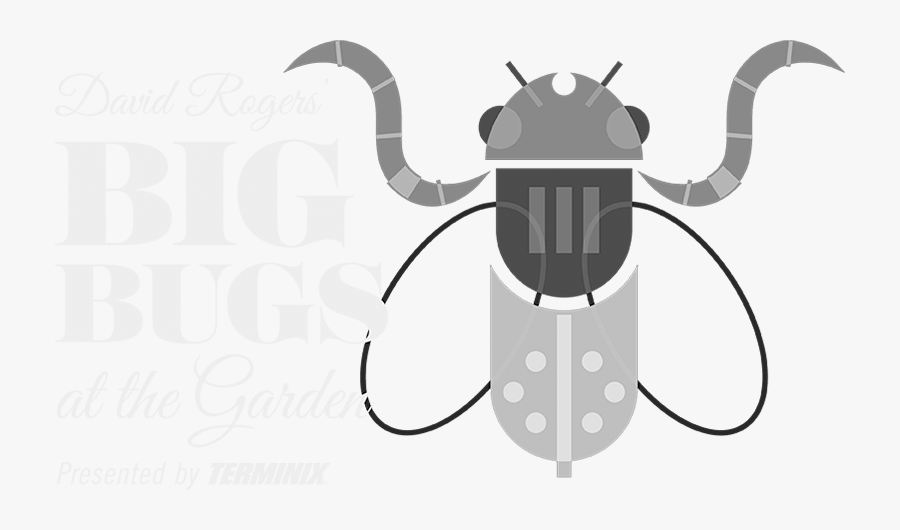David Rogers Bugs At - Cartoon, Transparent Clipart