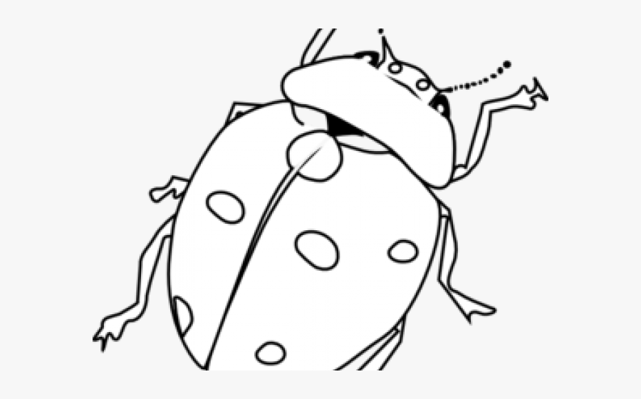 Colorin Insects, Transparent Clipart