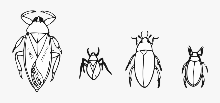 Cartoon, Transparent Clipart