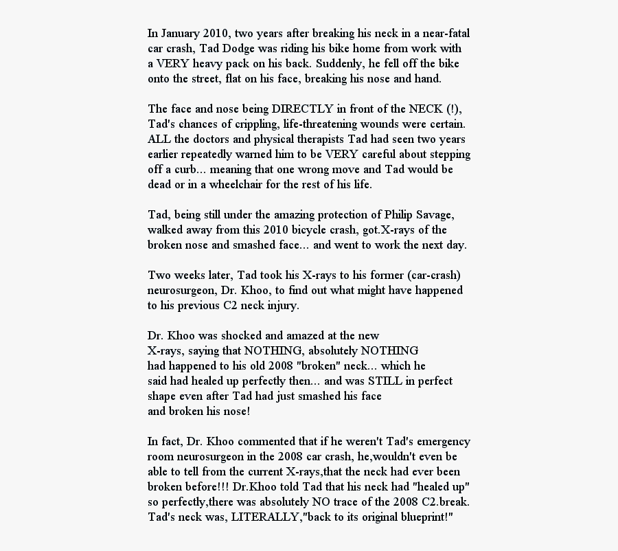 Clasificacion Del Acondicionamiento Neuromuscular, Transparent Clipart