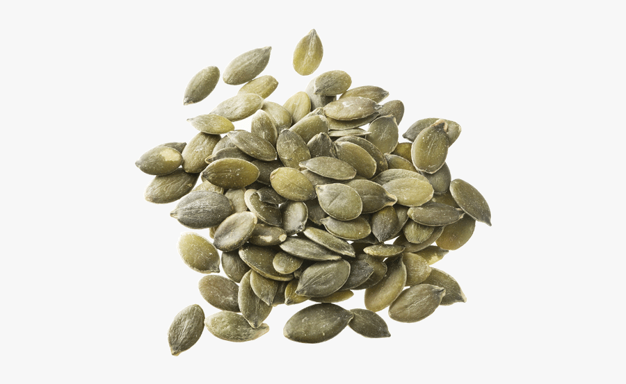 Pumpkin Seeds Png, Transparent Clipart