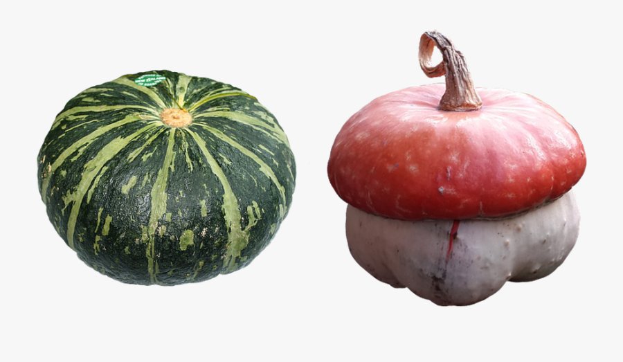 Imagenes De Verduras Calabaza, Transparent Clipart