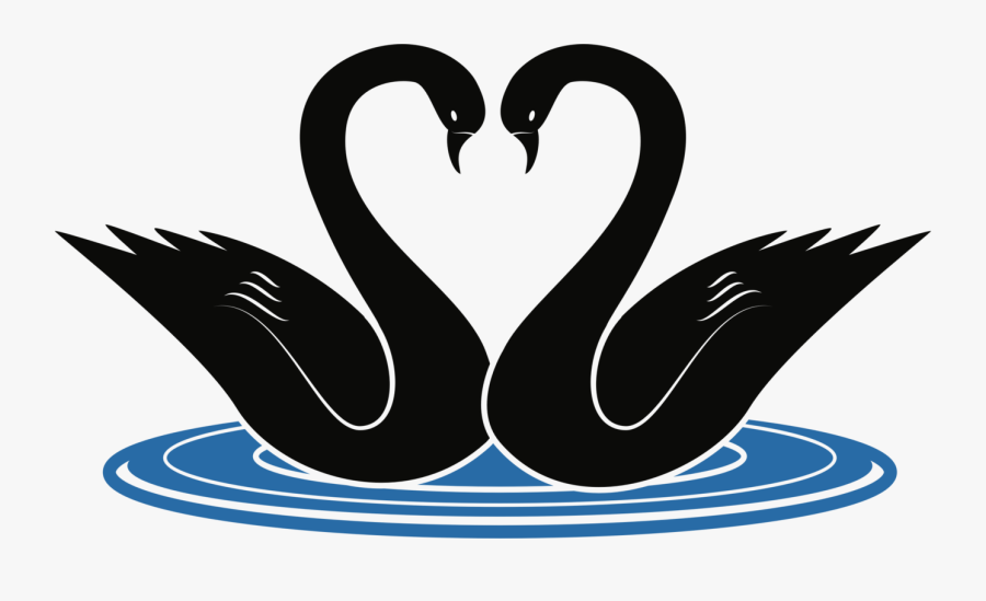 Transparent Swans Clipart - Clip Art Swans, Transparent Clipart