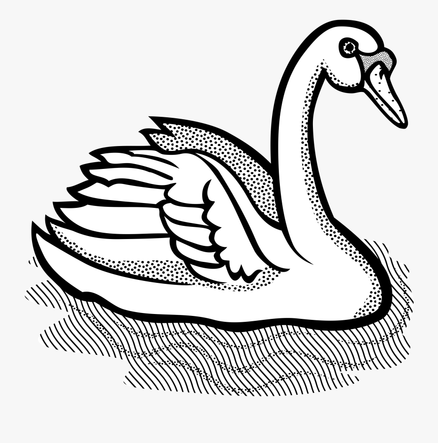Animal Bird Swan Free Picture - Clip Art Of Swan, Transparent Clipart