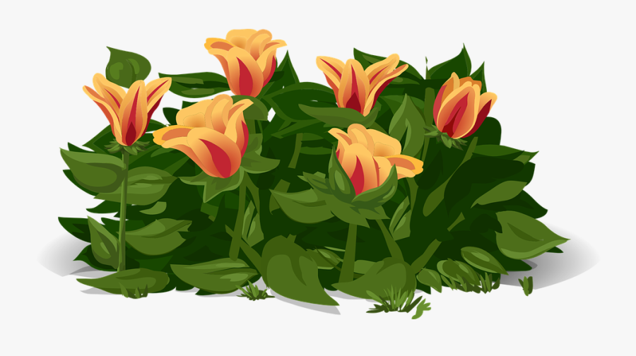 Flower Plant Png - Gelukkige Lente Dag, Transparent Clipart