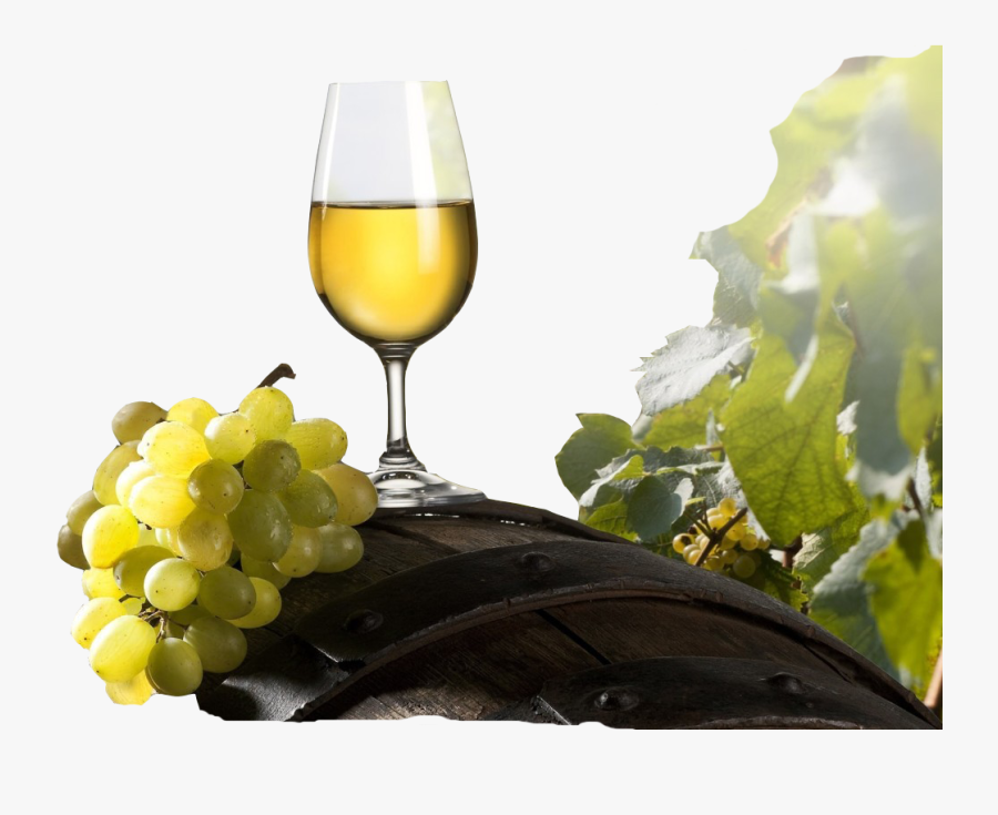 Png Images Free Download - Grapes And Wine Png, Transparent Clipart