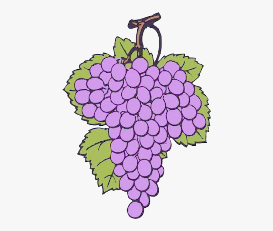 Wine Clip Grape - Joshua And Caleb Verse, Transparent Clipart