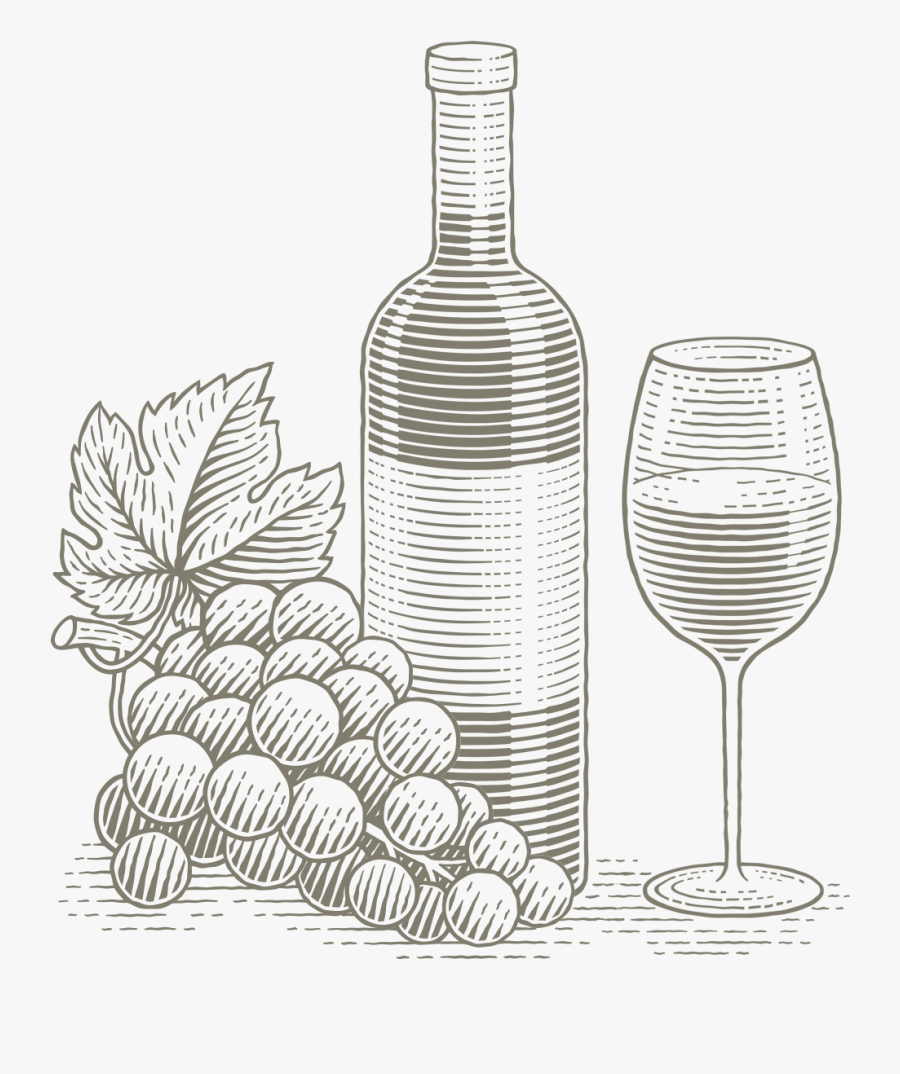 Hand Drawn Grapes, Transparent Clipart