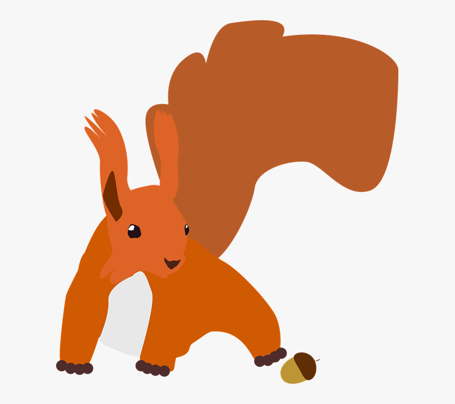 Squirrel, Nager, Autumn, Cute, Nature, Animal, Acorn - Vector Graphics, Transparent Clipart