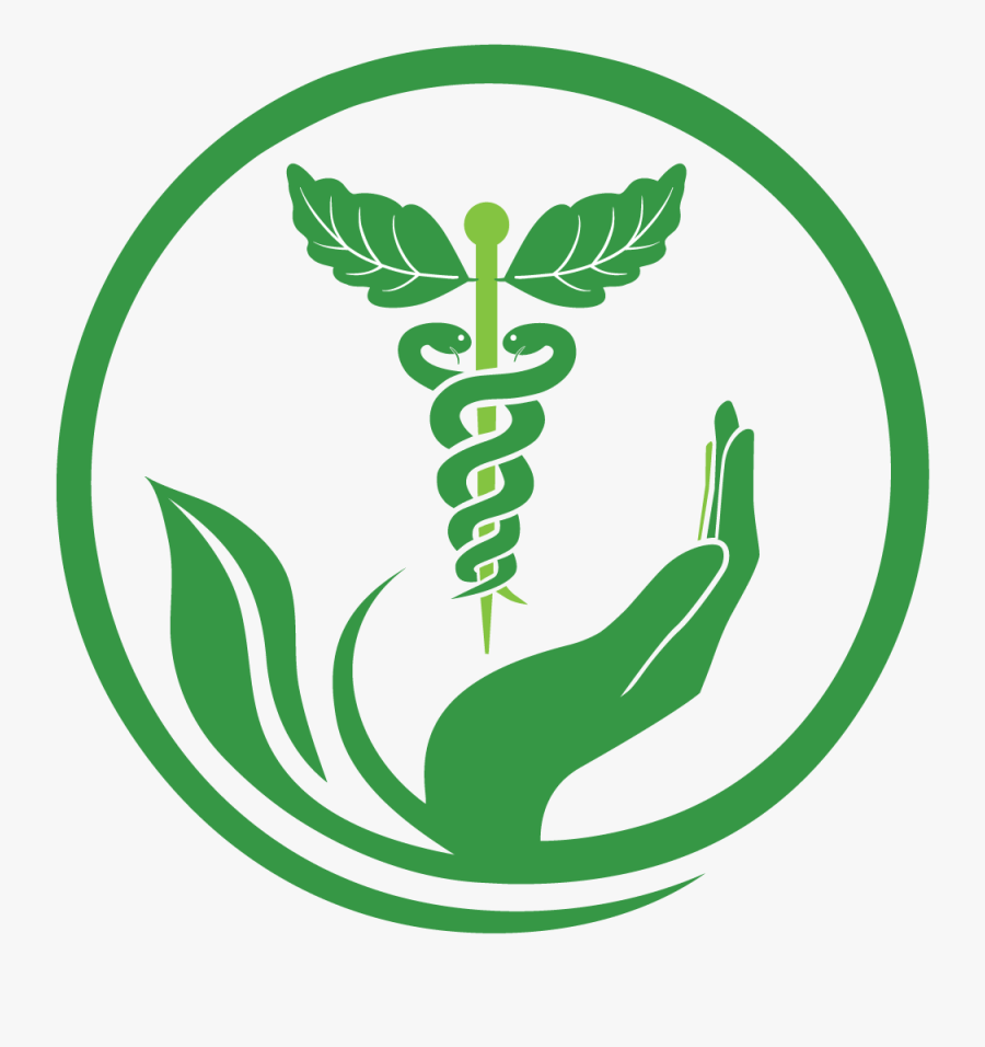 Naturopathy Services Health Medicine Herbalism Pharmacy - Herbal Medicine Logo Png, Transparent Clipart