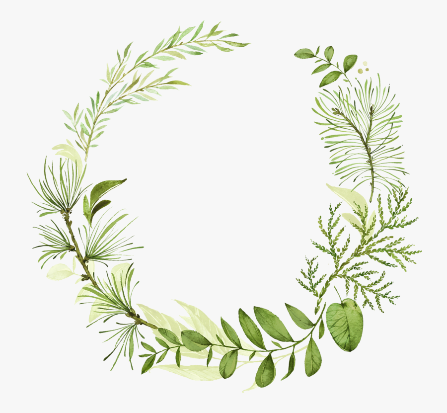 Watercolor Clipart Herb - Watercolor Leaf Wreath Clipart, Transparent Clipart