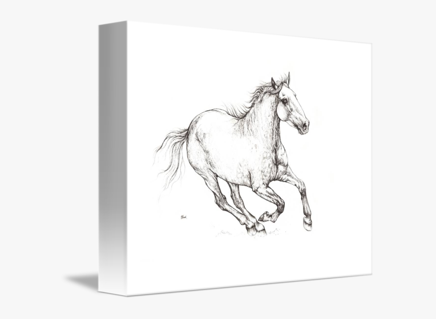 Drawing River Line - Sketch, Transparent Clipart