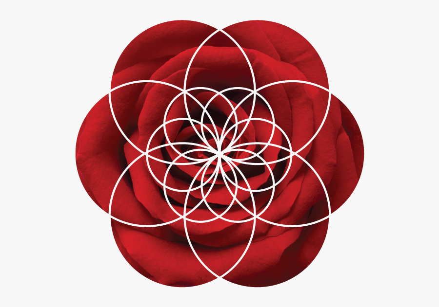 What Our Graduates Are - Circle, Transparent Clipart