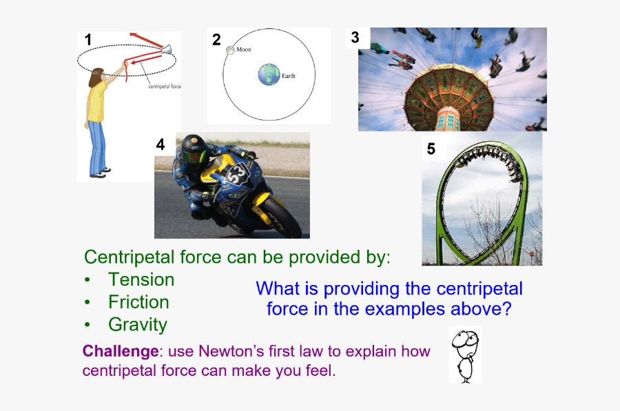 Circle, Transparent Clipart