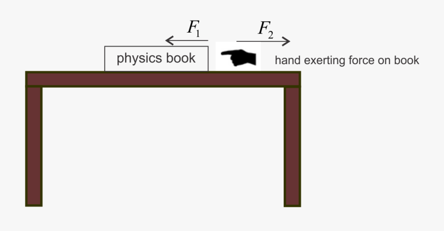 Cat, Transparent Clipart