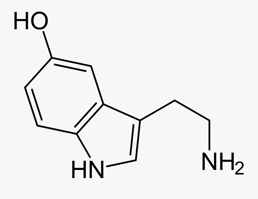 Sarah Tonin Sarah Carter Medium - Chemical Structure Of Depression, Transparent Clipart