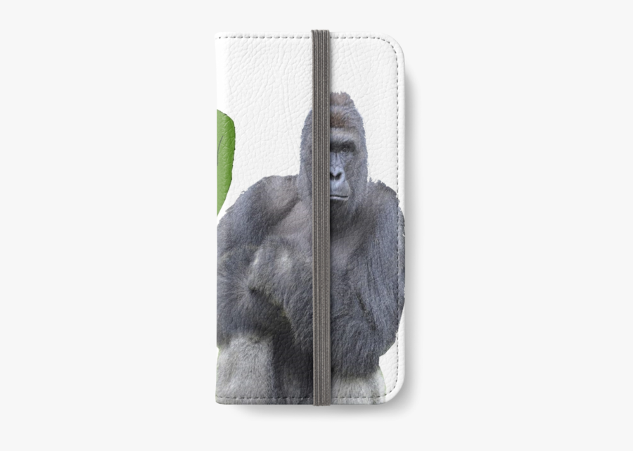 Mountain Gorilla, Transparent Clipart