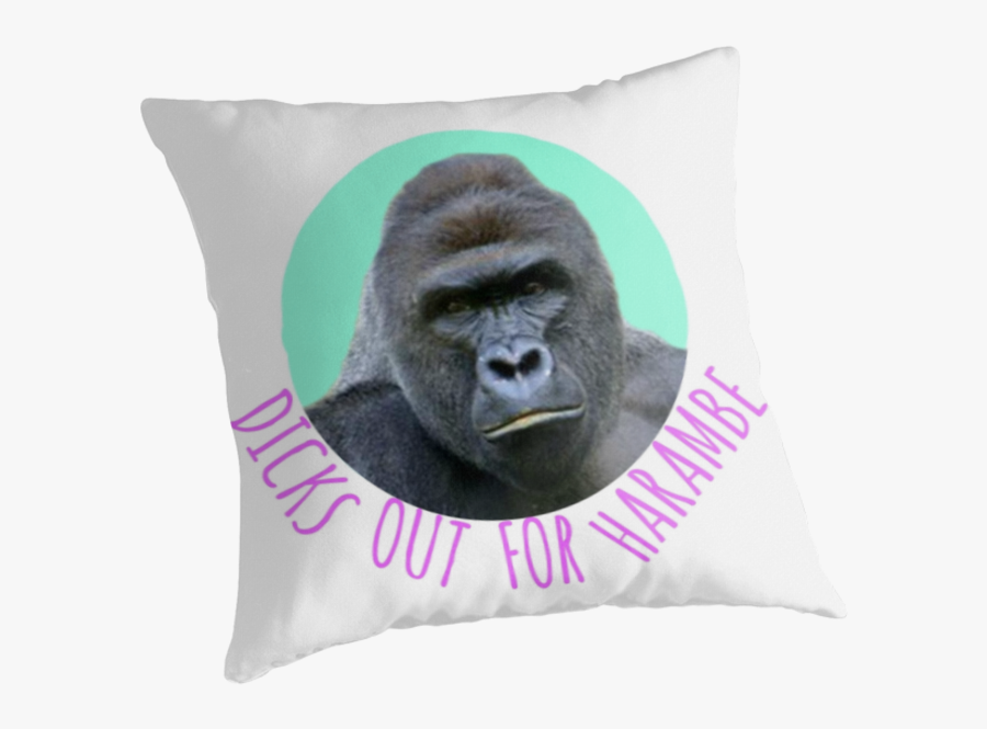Dicks Out For Harambe - Cushion, Transparent Clipart