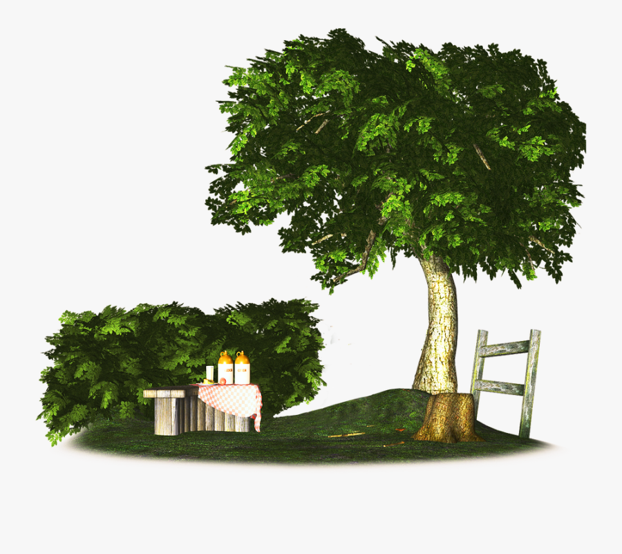 Transparent Picnic In The Park Clipart - Taman Png, Transparent Clipart