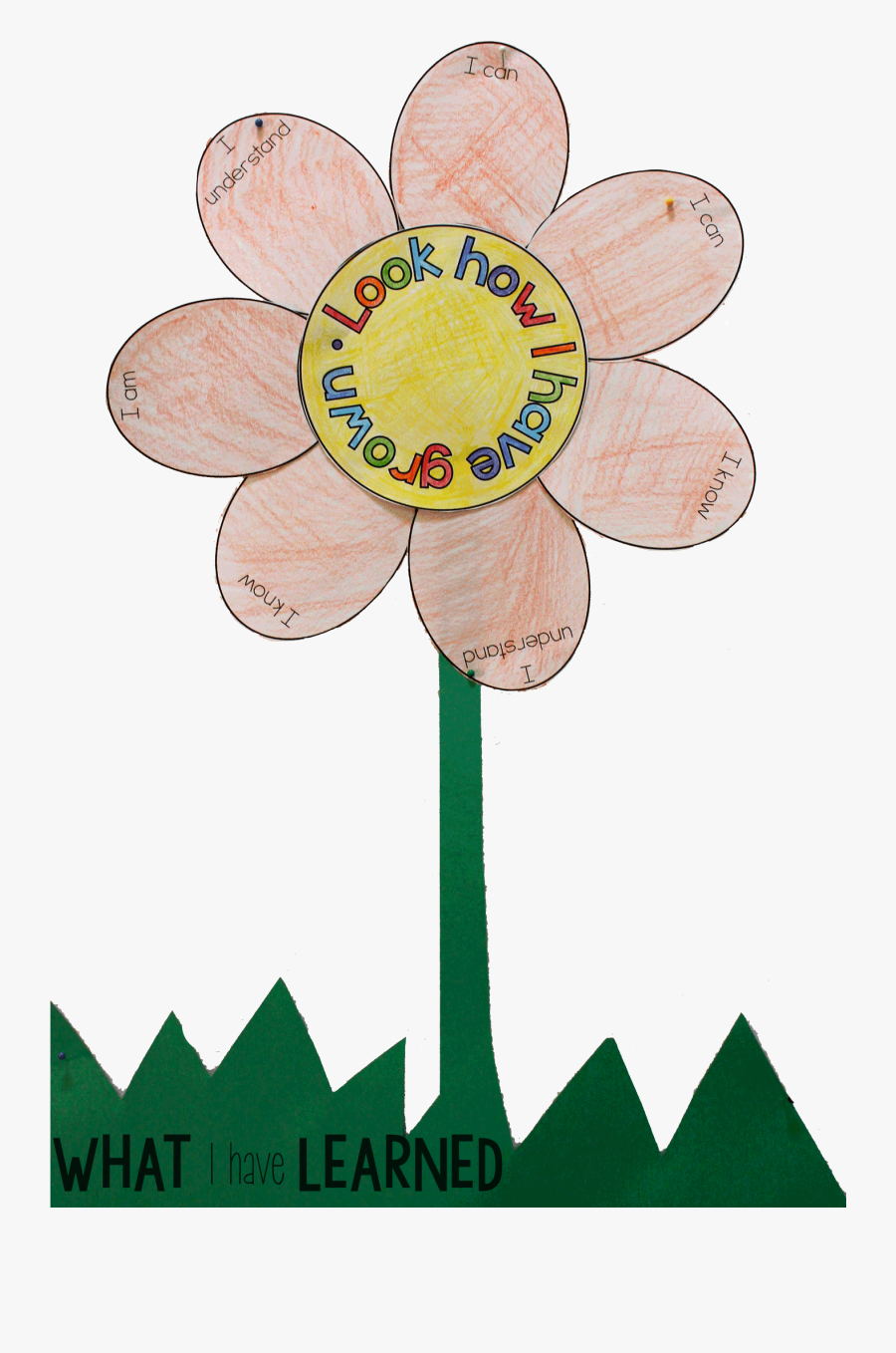 Your Students Have Been In School All Year Long And, Transparent Clipart