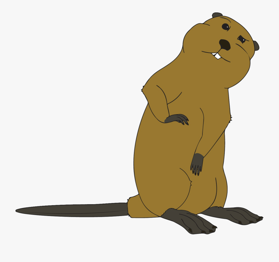 Resident Beaver Had Taken To Damming Up The Culvert - Steller Sea Lion, Transparent Clipart