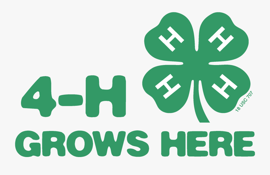 Clover Clipart Clover 4h - 4 H Grows Here Logo, Transparent Clipart