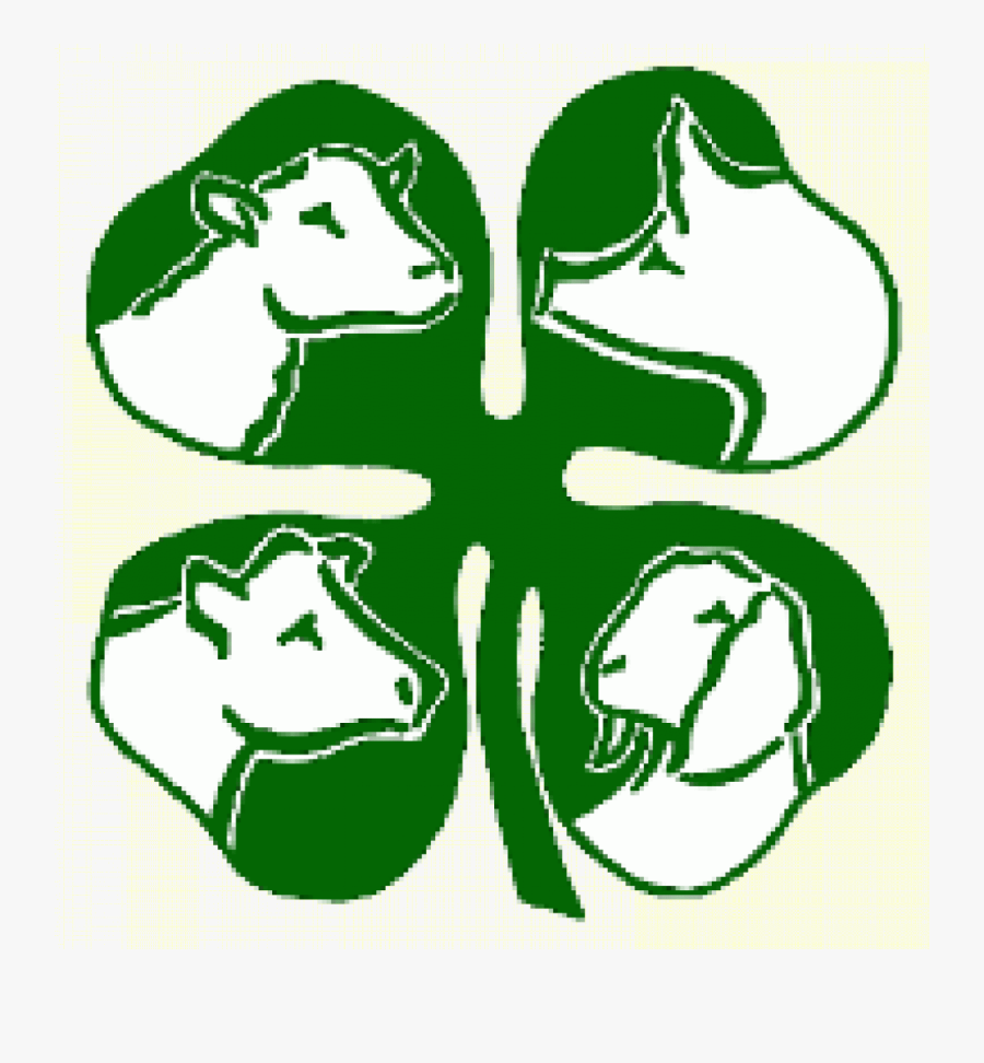 4 H Clipart Free - 4 H Livestock Logo, Transparent Clipart