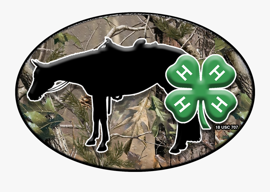 Dhc 4-h Horse Stickers - 4 H Horse Logo, Transparent Clipart