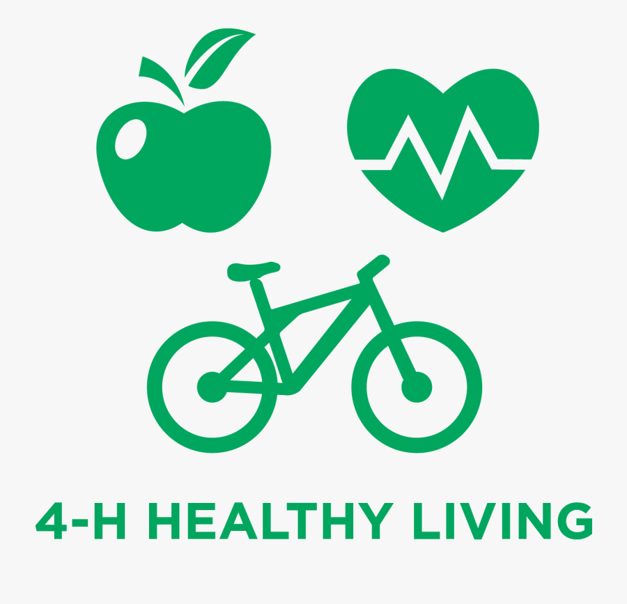 Bicycle Infographic, Transparent Clipart